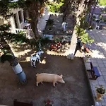 Anastasia Apartman *